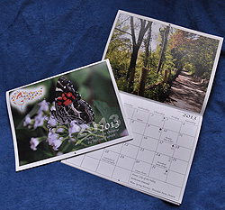 2011 Calendars